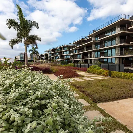 Savoy Monumentalis N&n By Lm&ac Signature