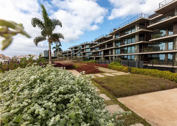 Savoy Monumentalis N&n By Lm&ac Signature